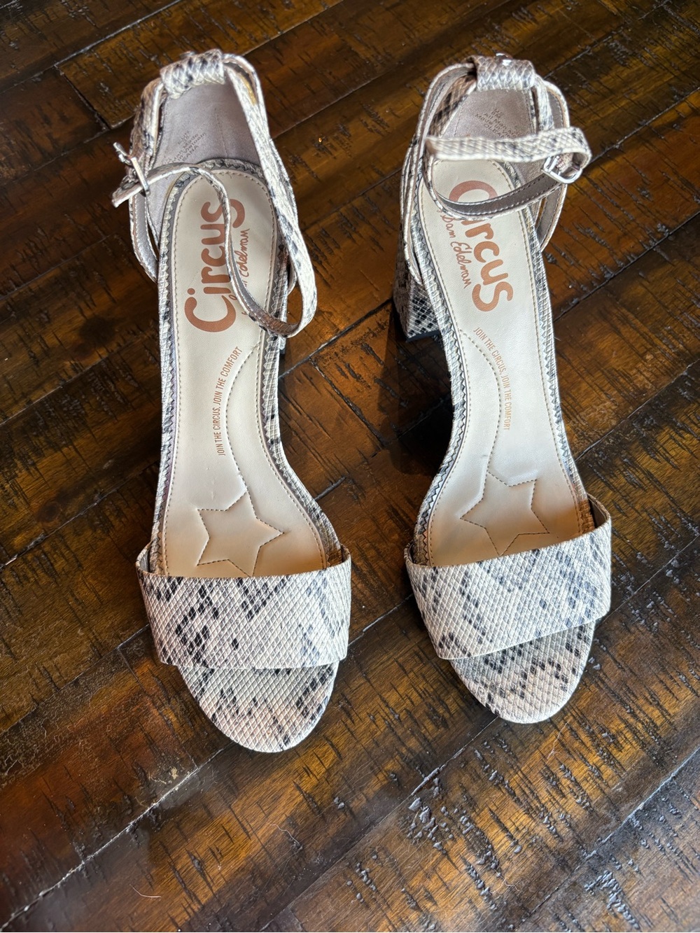 Circus by Sam Edelman Taupe Snakeskin Block Heel Ankle-Strap Sandals